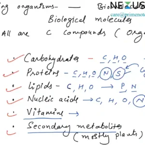 Biomolecules Carbohydrates Notes