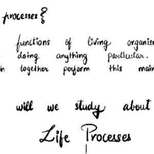 Class 10 Biology - Life Process Handwritten Notes