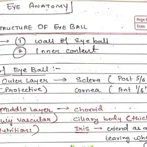 Eye Anatomy Notes